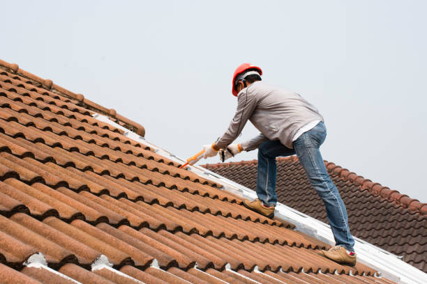 Florence, MT  Roofing repair and installation Company